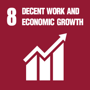 SDG_08